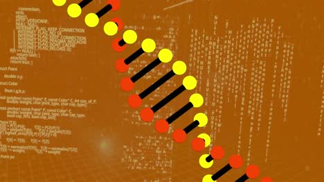 Animation-of-dna-strand-spinning-and-data-processing-over-orange-background