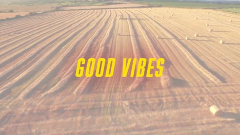 Animation-of-the-words-good-vibes-written-in-yellow-over-a-sunlit-agricultural-field