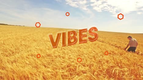 Animation-of-the-word-vibes-in-red-with-graphic-elements-moving-over-man-walking-in-sunlit-cornfield