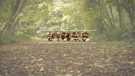 Animation-Des-Wortes-„Vibes“,-Geschrieben-In-Glitzernden-Goldenen-Buchstaben-über-Einem-Sonnenbeschienenen-Wald