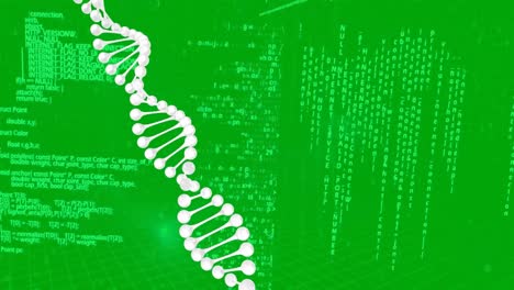 Animation-of-dna-strand-spinning-and-data-processing-over-green-background