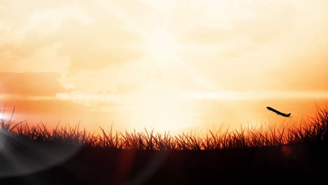 Animation-Eines-Silhouettierten-Flugzeugs,-Das-Bei-Sonnenuntergang-über-Gras-Und-Orangefarbenem-Himmel-Abhebt