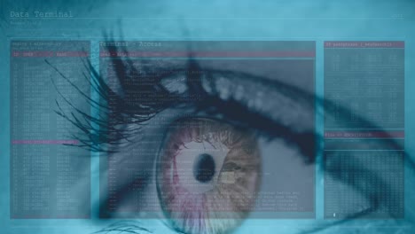 Animation-of-woman's-amber-eye-with-interface-and-fast-scrolling-digital-information