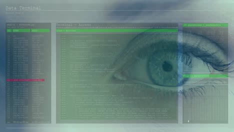 Animation-of-woman's-blue-eye-with-fast-scrolling-digital-information-and-white-and-green-lines