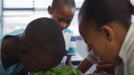 Diverse-group-of-happy-schoolchildren-looking-after-plants-in-classroom-during-nature-studies-lesson