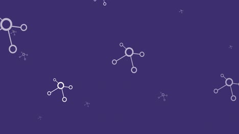 Animation-Eines-Netzwerks-Von-Verbindungen,-Die-über-Violettem-Hintergrund-Hochfliegen