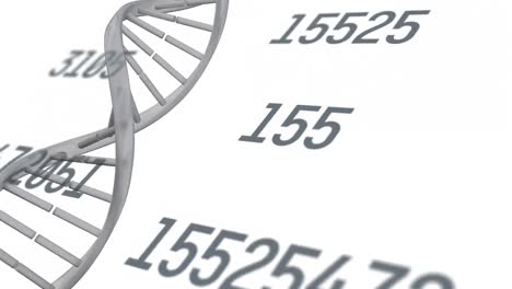 Animation-Eines-Sich-Drehenden-DNA-Stammes-über-Der-Wissenschaftlichen-Datenverarbeitung-Auf-Weißem-Hintergrund
