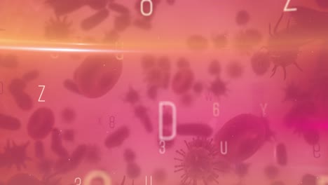 Animation-of-letters-and-numbers-over-floating-blood-cells