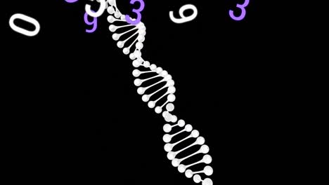 Animation-Schwebender-Zahlen-über-DNA-Stamm-Auf-Schwarzem-Hintergrund
