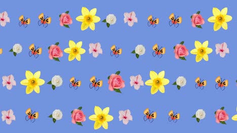 Animation-Von-Mehrfarbigen-Blumen-Und-Schmetterlingen-Auf-Blauem-Hintergrund