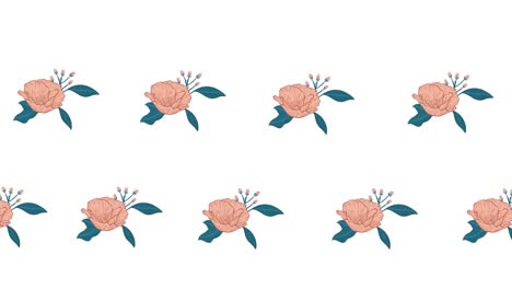 Komposition-Aus-Reihen-Rosafarbener-Blumen,-Die-Sich-Auf-Weißem-Hintergrund-Bewegen