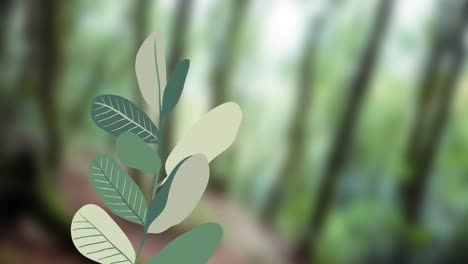 Animation-Von-Laub-Und-Beeren,-Die-Auf-Verschwommenem-Waldhintergrund-Wachsen