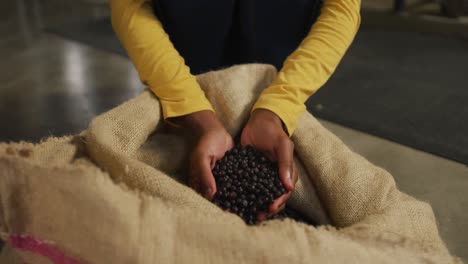 Hands-of-african-american-woman-working-at-gin-distillery-inspecting-juniper-berries-in-sack