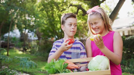 Smiling-caucasian-brother-and-sister-standing-in-garden-holding-box-of-vegetables,-playing-with-them