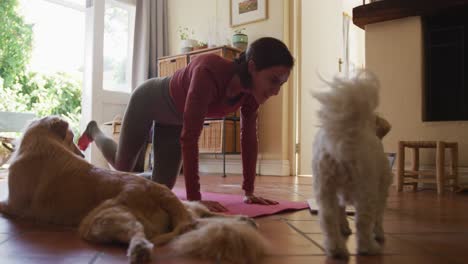 Caucasian-woman-exercising-with-her-pet-dogs-using-laptop-at-home