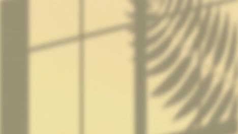 Animation-Von-Fensterrahmen--Und-Pflanzenblattschatten,-Die-Sich-Auf-Cremefarbenem-Wandhintergrund-Bewegen