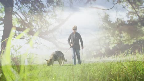 Animation-of-glowing-light-over-senior-woman-walking-with-dog-in-park
