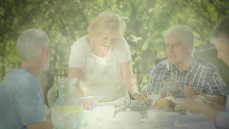 Animation-of-glowing-light-over-senior-people-eating-in-garden