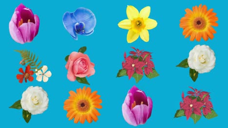 Animation-Von-Blumen,-Die-Sich-In-Hypnotischer-Bewegung-Auf-Blauem-Hintergrund-Bewegen
