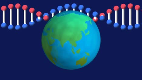 Animation-of-dna-strand-spinning-with-globe-on-blue-background