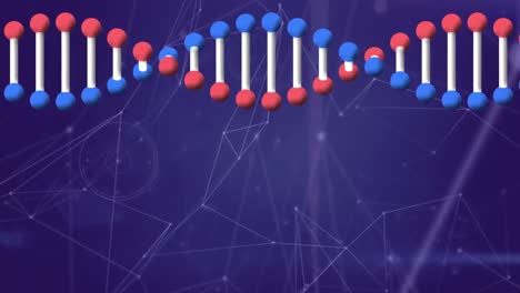 Animation-of-dna-strand,-network-of-connections-on-purple-background