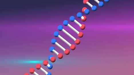 Animation-of-dna-strand-spinning-over-purple-background