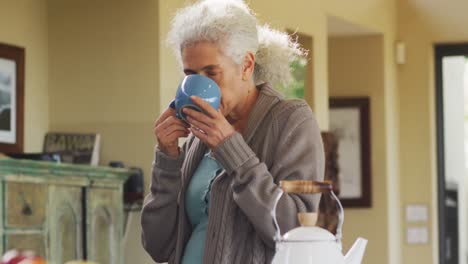 Portrait-of-senior-mixed-race-woman-holding-mug-and-drinking-in-kitchen