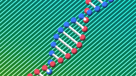 Animation-Eines-DNA-Strangs,-Der-Sich-über-Einem-Hintergrund-Mit-Grünen-Diagonalen-Streifen-Dreht