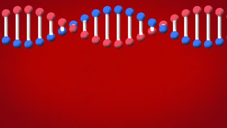 Animation-of-dna-strand-spinning-on-red-background