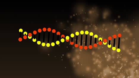 Animation-Eines-DNA-Strangs,-Der-Sich-über-Leuchtenden-Lichtern-Dreht