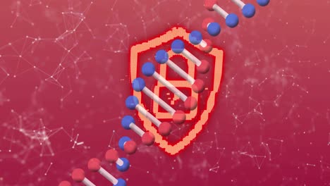 Animation-of-rotating-3d-dna-strand,-with-orange-padlock-symbol-over-network-on-pink