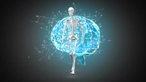 Animación-Digital-Del-Esqueleto-Humano-Caminando-Sobre-El-Cerebro-Humano-Girando-Sobre-Fondo-Negro