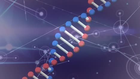 Animation-of-rotating-3d-dna-strand-over-glowing-network-of-connections