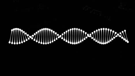 Animation-of-dna-strand-spinning-and-data-processing-on-black-background