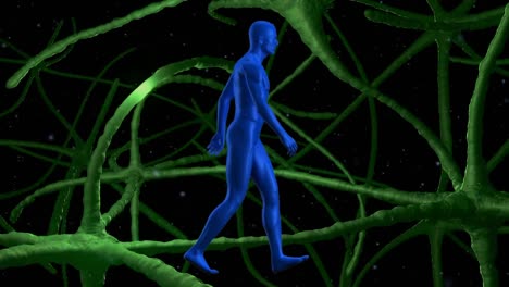 Animación-Digital-Del-Modelo-Del-Cuerpo-Humano-Caminando-Contra-Señales-Que-Pasan-A-Través-De-Neuronas