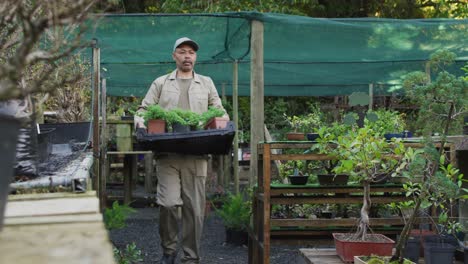 African-american-male-gardener-walking,-holding-box-with-plants-at-garden-center