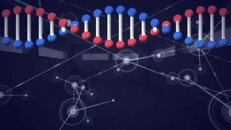 Digital-animation-of-dna-structure-spinning-over-network-of-connections-against-black-background