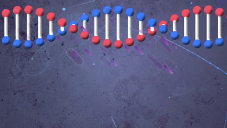 Digitale-Animation-Einer-DNA-Struktur,-Die-Sich-Vor-Violetten-Lichtspuren-Auf-Grauem-Hintergrund-Dreht