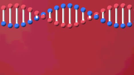 Animation-Eines-DNA-Strangs,-Der-Sich-Auf-Rotem-Hintergrund-Dreht