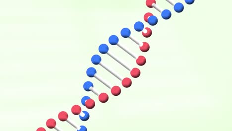 Animation-of-dna-strand-spinning-on-green-background