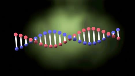 Animation-Eines-DNA-Strangs,-Der-Sich-Auf-Grünem-Hintergrund-Dreht
