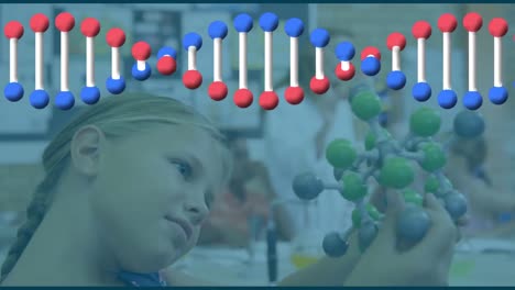 Animación-De-Una-Cadena-De-ADN-Giratoria-Sobre-Una-Estudiante-Sosteniendo-Un-Modelo-Molecular.