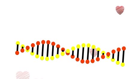 Digital-animation-of-dna-structure-spinning-against-multiple-red-hearts-against-white-background