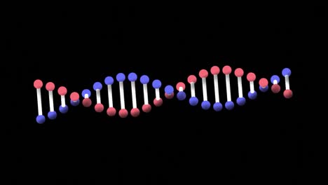 Animation-Eines-DNA-Strangs,-Der-Sich-Auf-Schwarzem-Hintergrund-Dreht