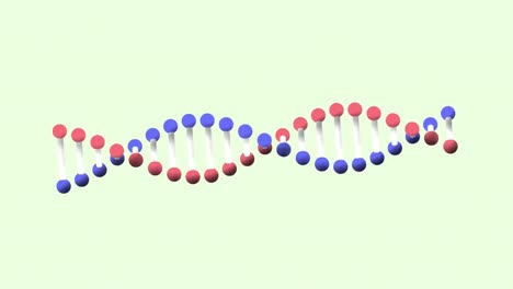 Animation-Eines-DNA-Strangs,-Der-Sich-Auf-Grünem-Hintergrund-Dreht
