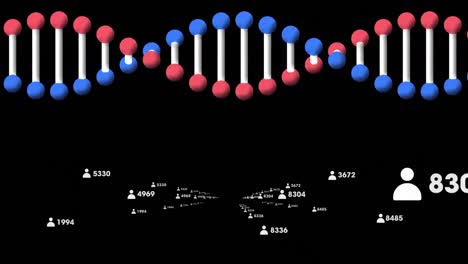 Animation-of-3d-dna-strand-spinning-with-people-icons-and-numbers-changing-on-black-background