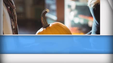 Animation-of-blue-and-white-shapes-over-couple-holding-pumpkin