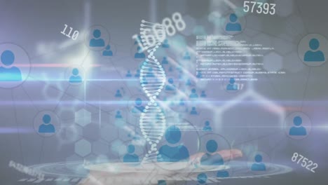 Animation-Des-DNA-Strangs,-Netzwerk-Von-Verbindungen-über-Wissenschaftliche-Datenverarbeitung