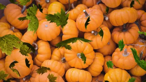 Animation-of-autumn-leaves-falling-over-stacked-pumpkins