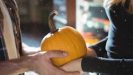 Animation-of-snow-falling-over-couple-holding-pumpkin